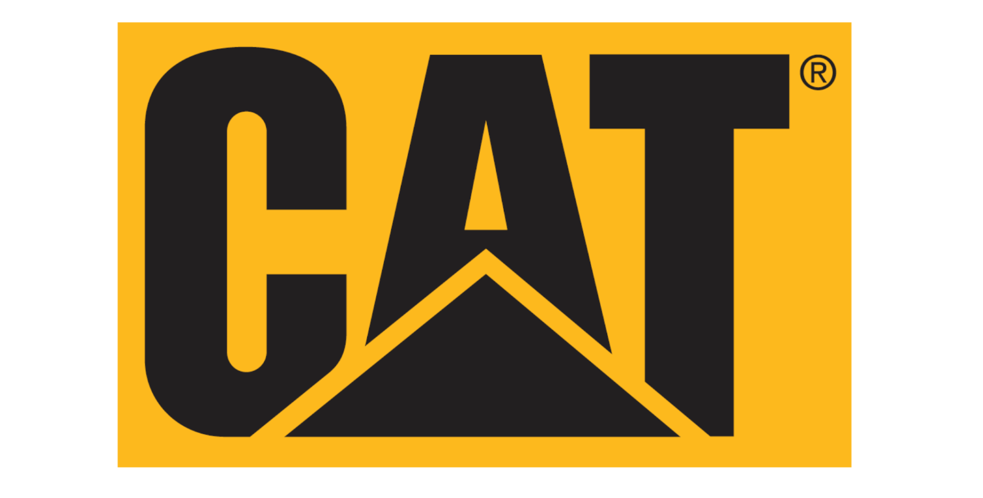 WEBSITE CAT LOGO - HIGH RES
